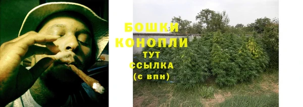 PSILOCYBIN Бородино