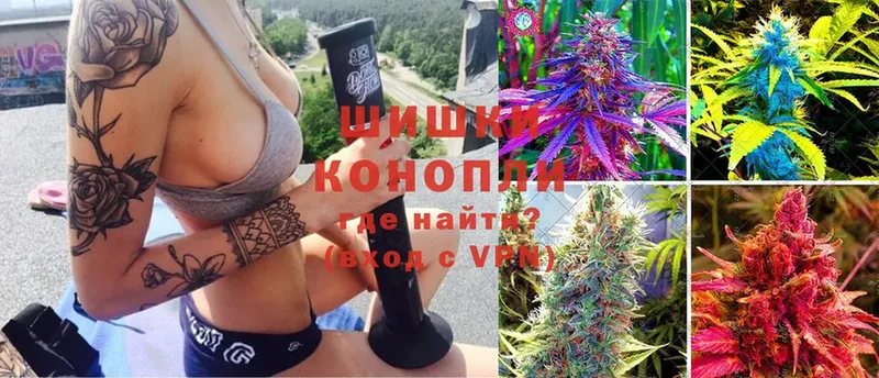 как найти   Новокузнецк  KRAKEN маркетплейс  Конопля White Widow 